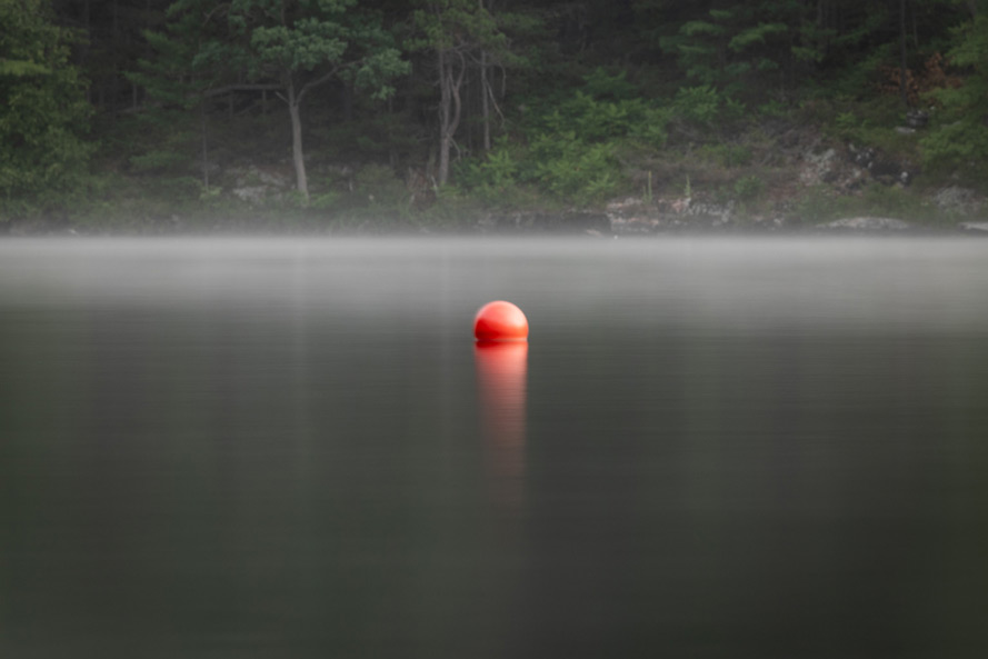 Natures Choreography Muskoka dance photography David Walker