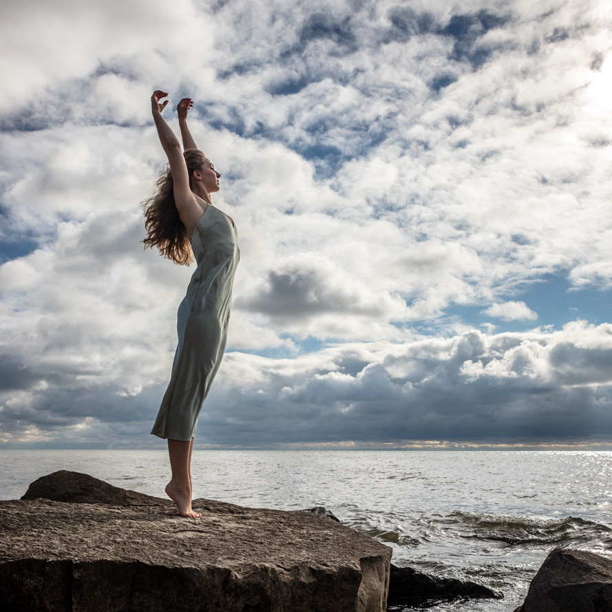 la danseuse élégante